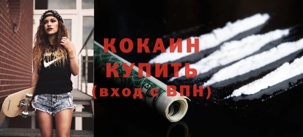 твердый Дубна
