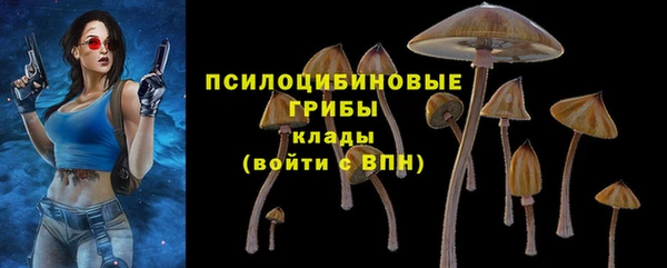 spice Пересвет
